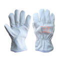 ANSI A6 Cut Resistant Aramid Liner Ziegenleder Leder Automotive Anti-Cut-Sicherheitsarbeit Handschuhe